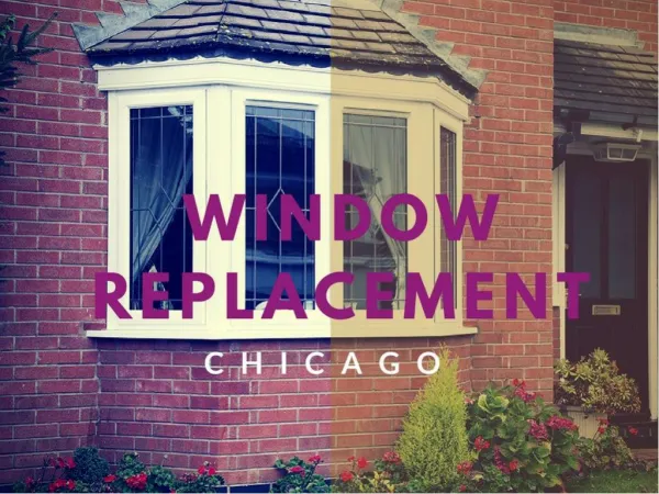 Best Window Replacement Company in Chicago?
