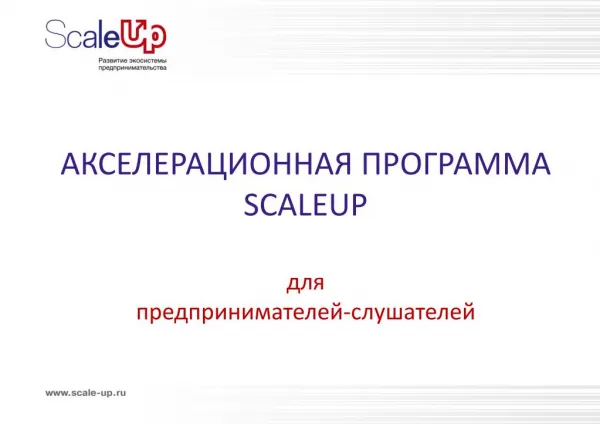 АКСЕЛЕРАЦИОННАЯ ПРОГРАММА SCALEUP