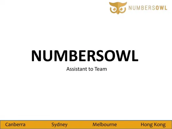 No 1 Business and Financial Advisor | Numbersowl
