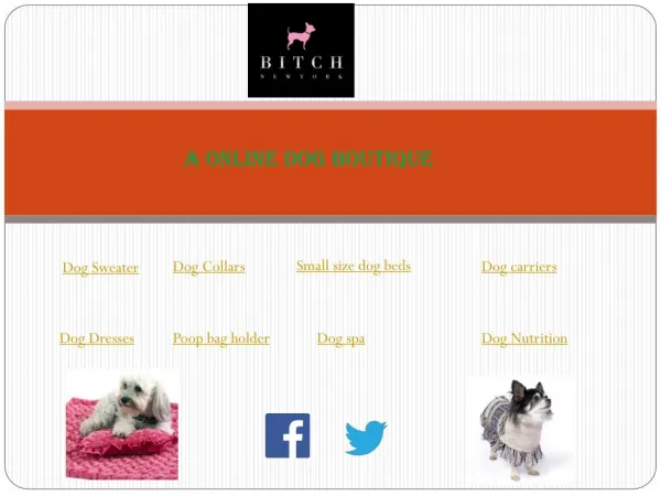 Best Dog Shop For You Buy Online