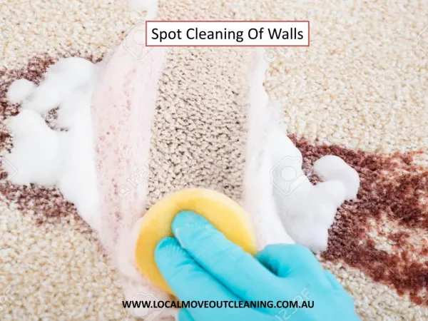 Spot Cleaning Of Walls - Local Move Out Cleaning