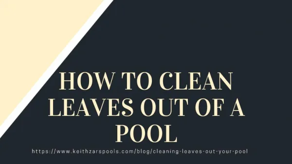 How to Clean Leaves Out Of Out of a Pool