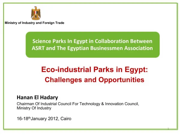 Hanan El Hadary Chairman Of Industrial Council For Technology Innovation Council, Ministry Of Industry 16-18th Januar
