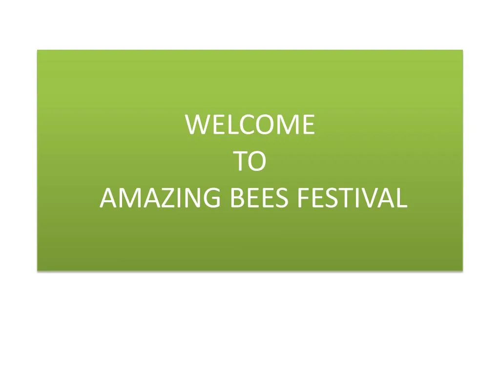 welcome to amazing bees festival