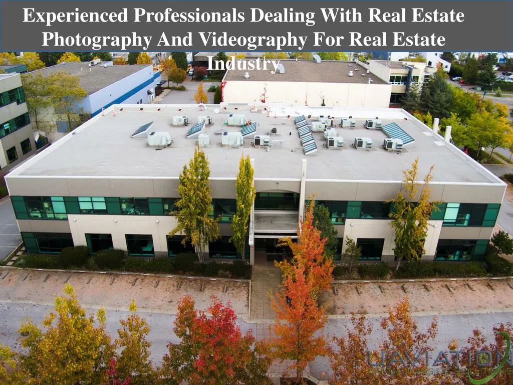 experienced professionals dealing with real