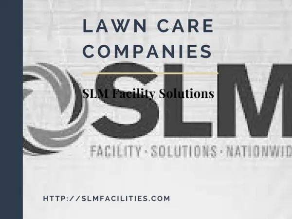 Lawn care companies