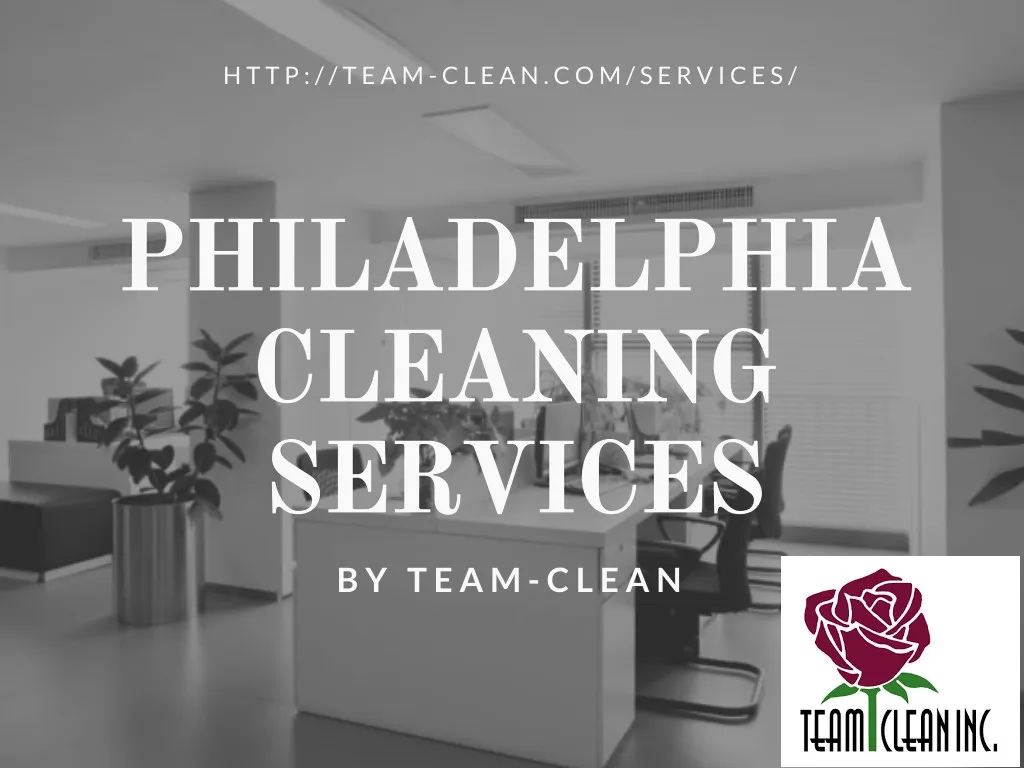 http team clean com services