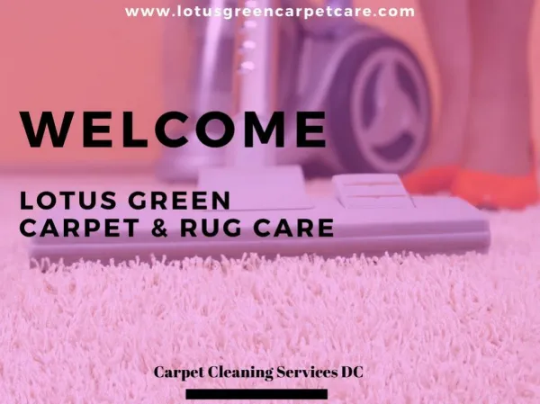 Carpet Cleaning DC