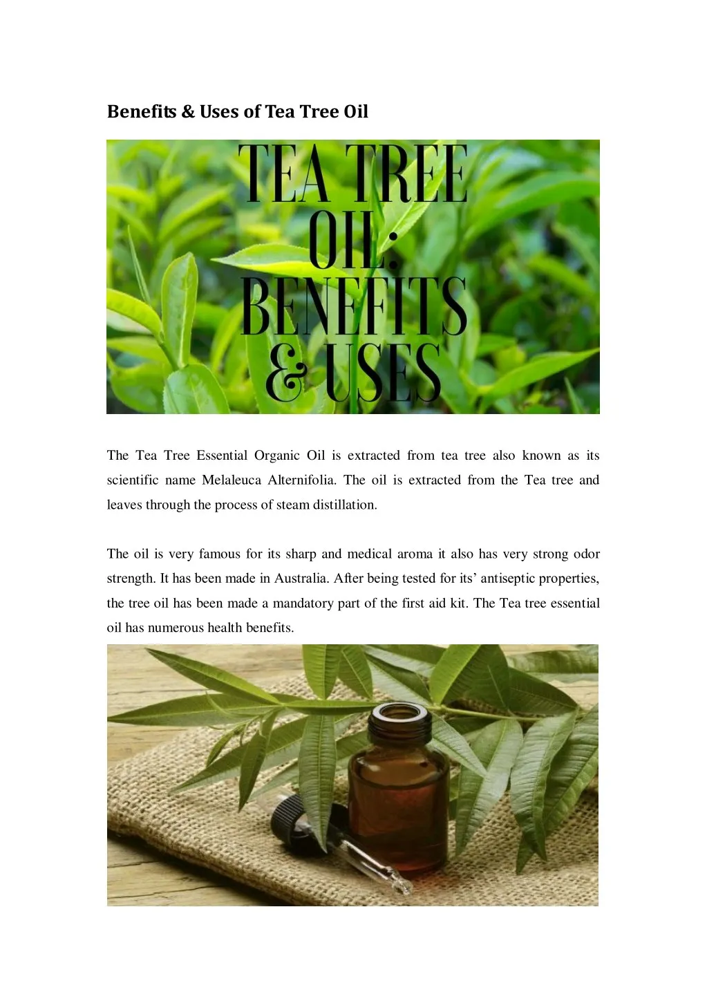 benefits uses of tea tree oil