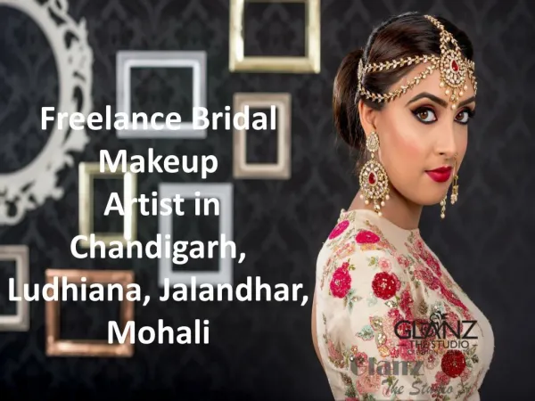 Freelance Bridal Makeup Artist in Chandigarh, Ludhiana, Jalandhar