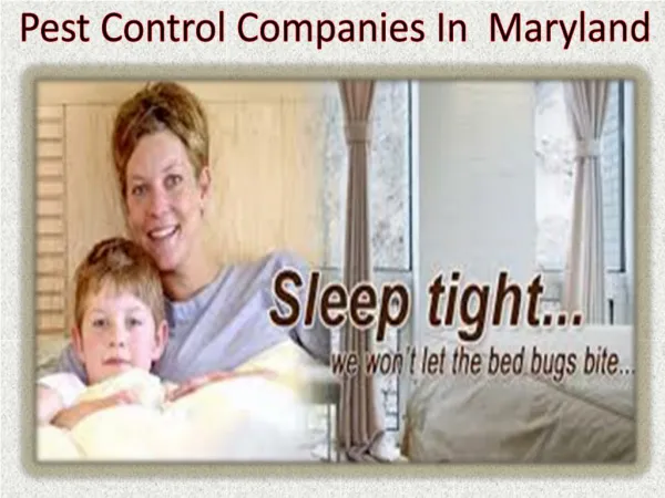 Pest Control Companies In Maryland