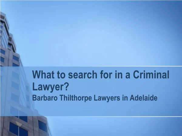 What to search for in a Criminal Lawyer?