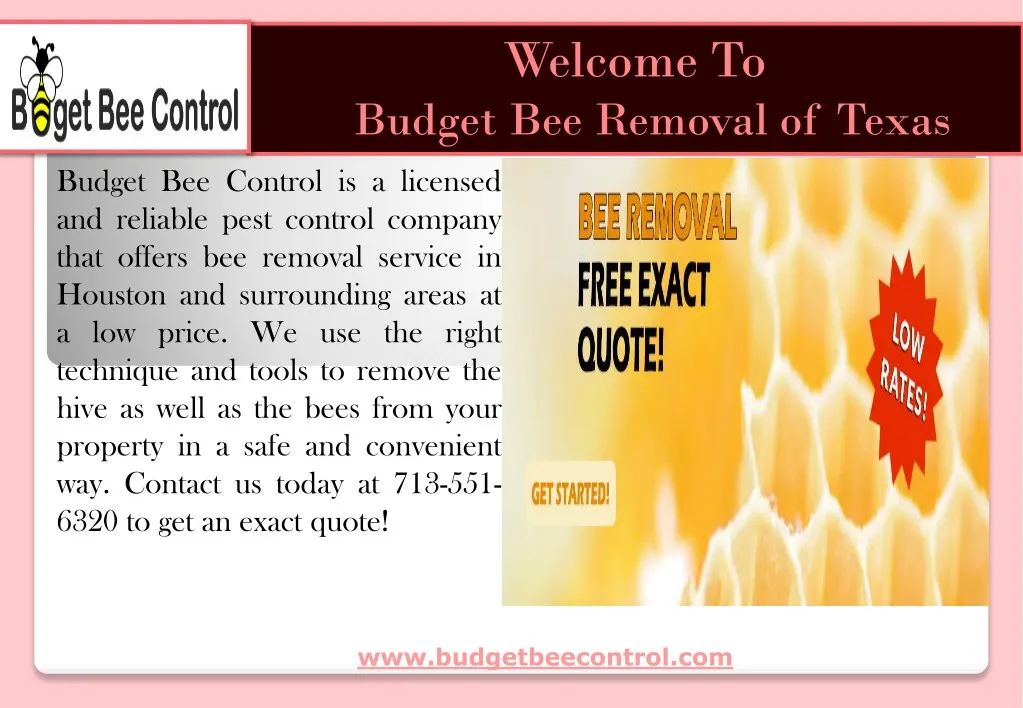 welcome to budget bee removal of texas