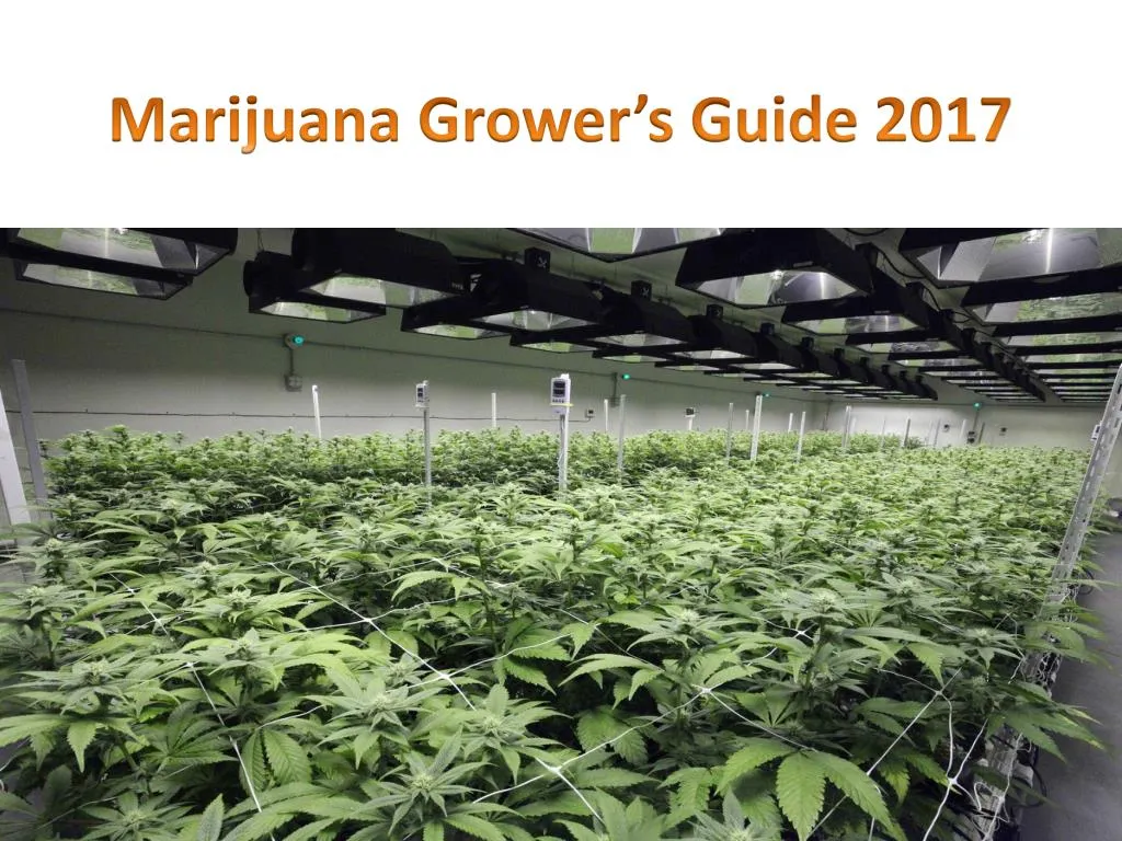marijuana grower s guide 2017