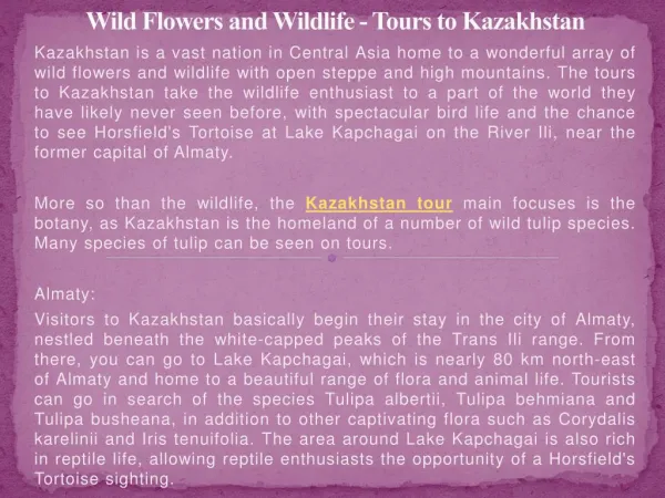 Wild Flowers and Wildlife - Tours to Kazakhstan