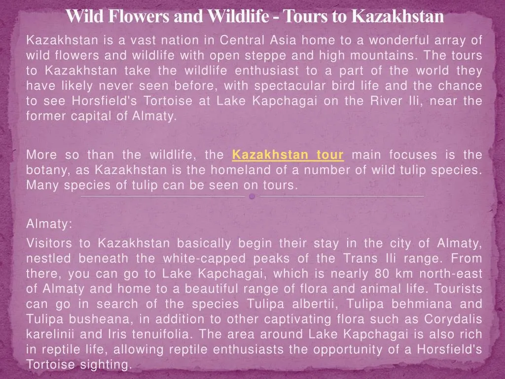 wild flowers and wildlife tours to kazakhstan
