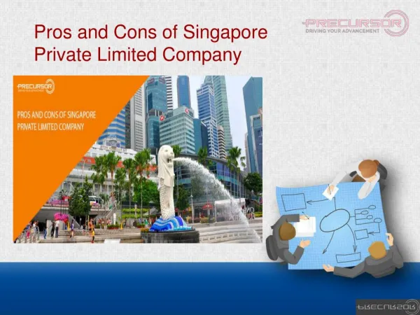 Pros and Cons of Singapore Private Limited Company