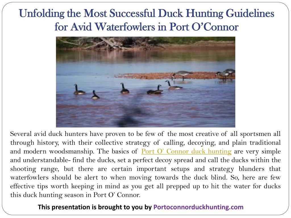 unfolding the most successful duck hunting