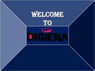 Improve your Ecommerce with Digiena SEO Services - slide 1