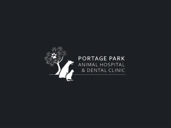 Puppy Wellness Programs - Portage Park Animal Hospital & Dental Clinic