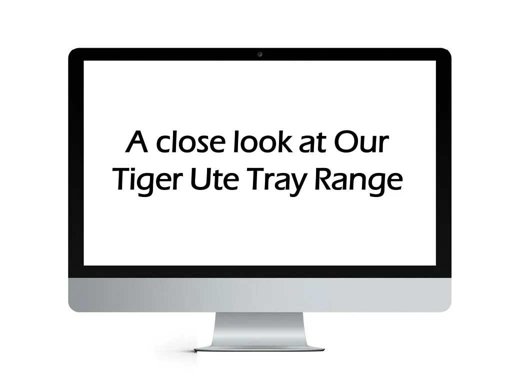 a close look at our a close look at our tiger