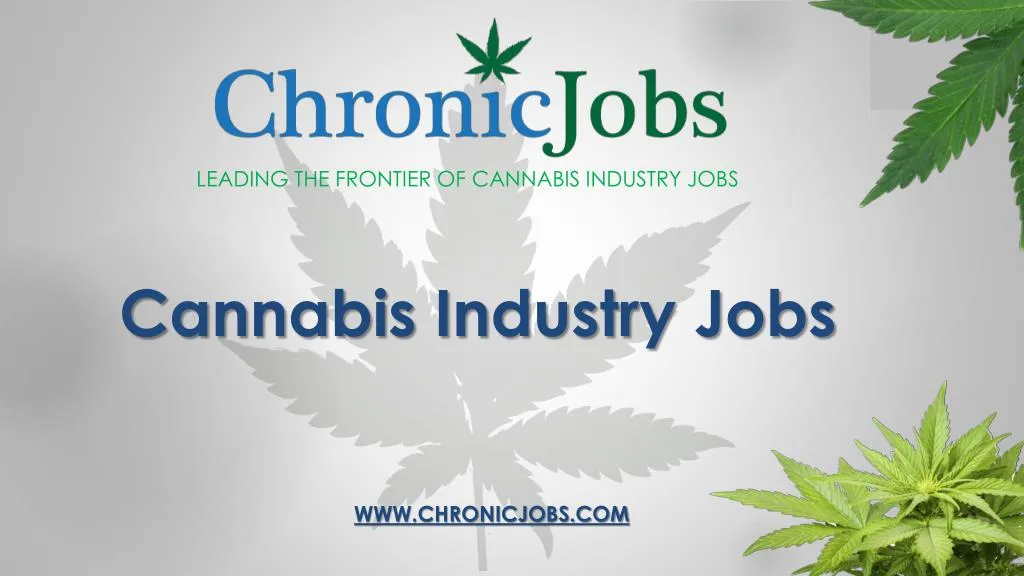 cannabis industry jobs