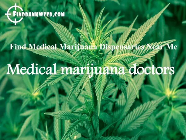 Delivering the Best Possible Medical Marijuana Medicine- Finddankweed