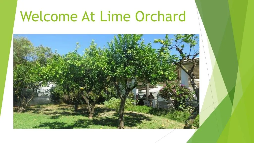 welcome at lime orchard