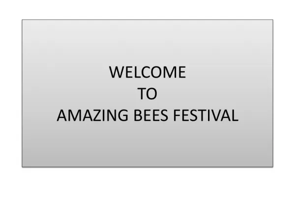 Amazing Bees Festival