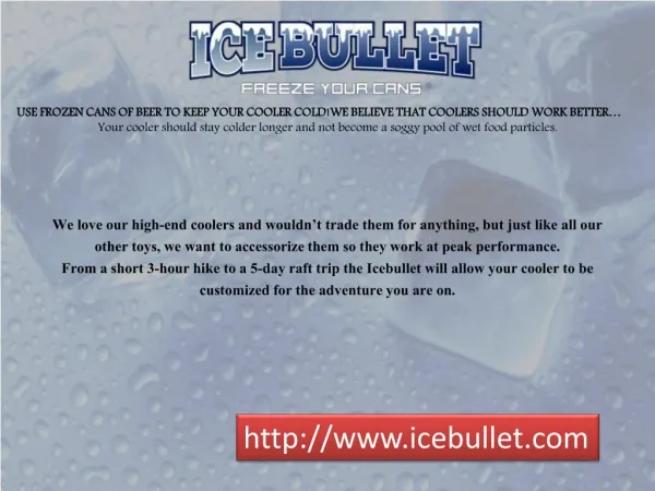 Melted Ice in Your Cooler | Ice Bullet