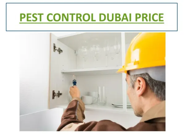 Pest Control Services Dubai