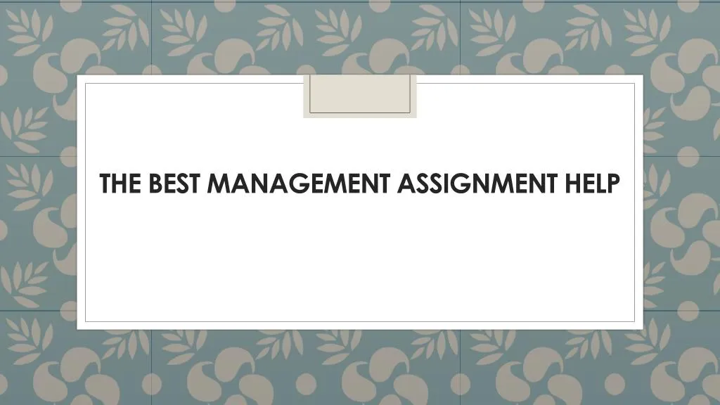 the best management assignment help