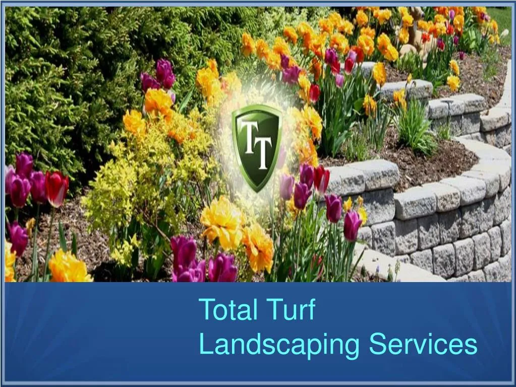 total turf landscaping services