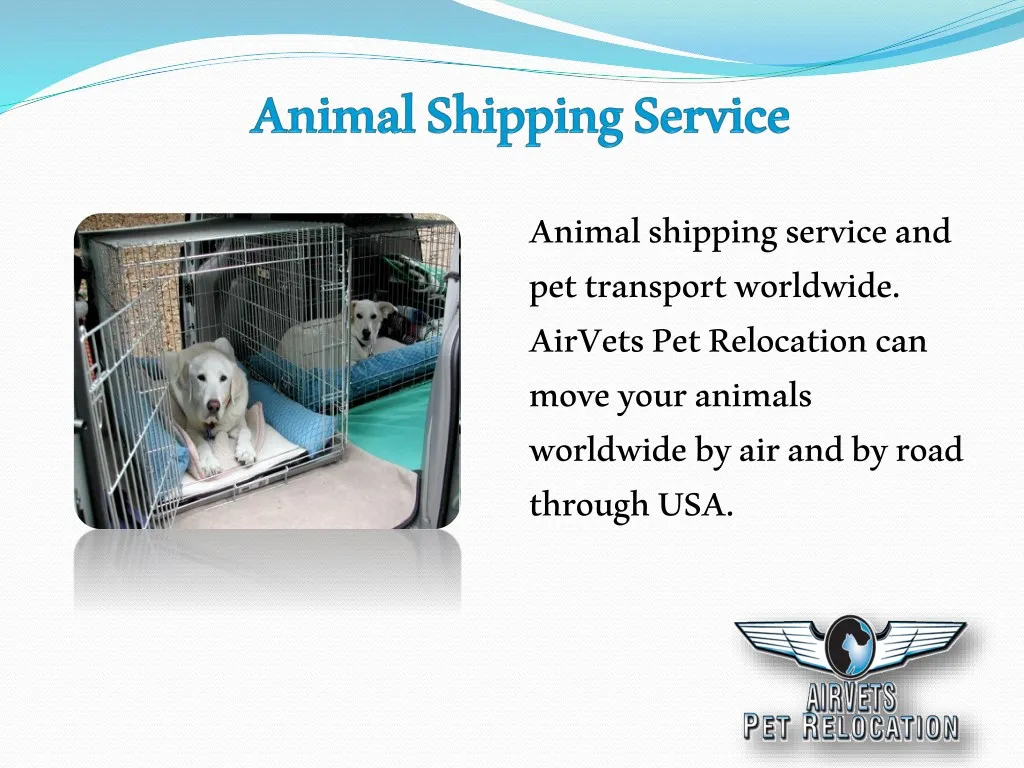 animal shipping service and pet transport