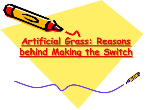 Reasons Behind Making the Switch : Artificial Grass