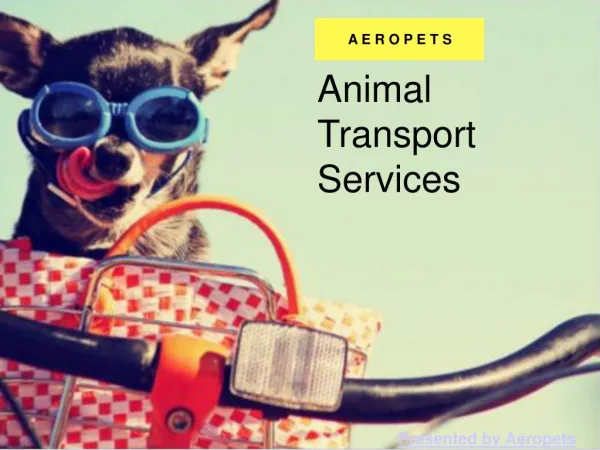 Aeropets Animal Transport Services