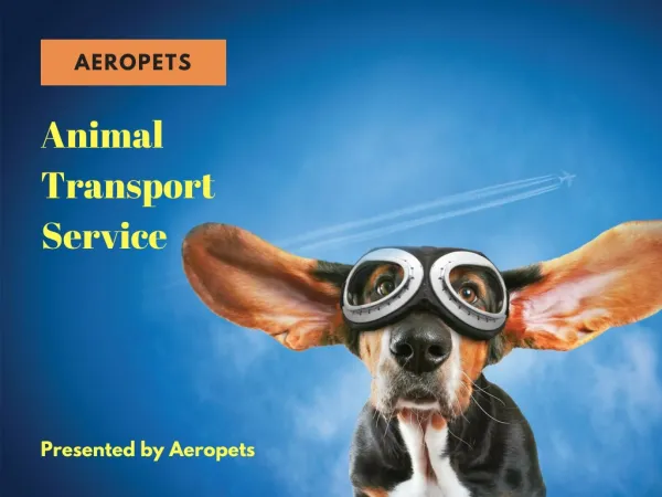 Aeropets Animal Transport Services