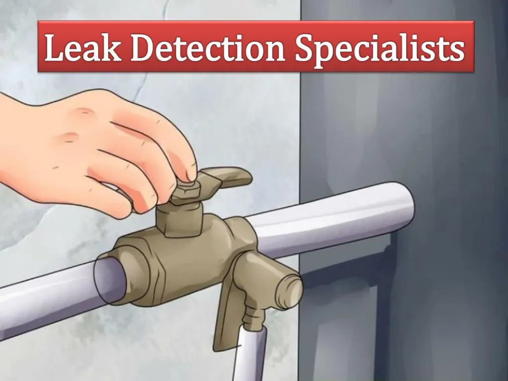 leak detection specialists