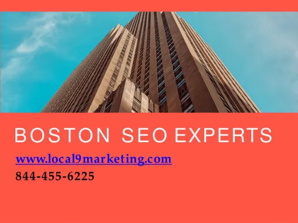 Boston SEO Experts | Local 9 Marketing