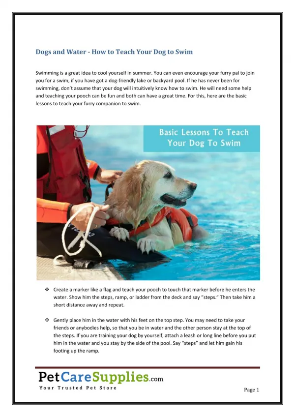 Dog and Water - How to Teach Your Dog to Swim