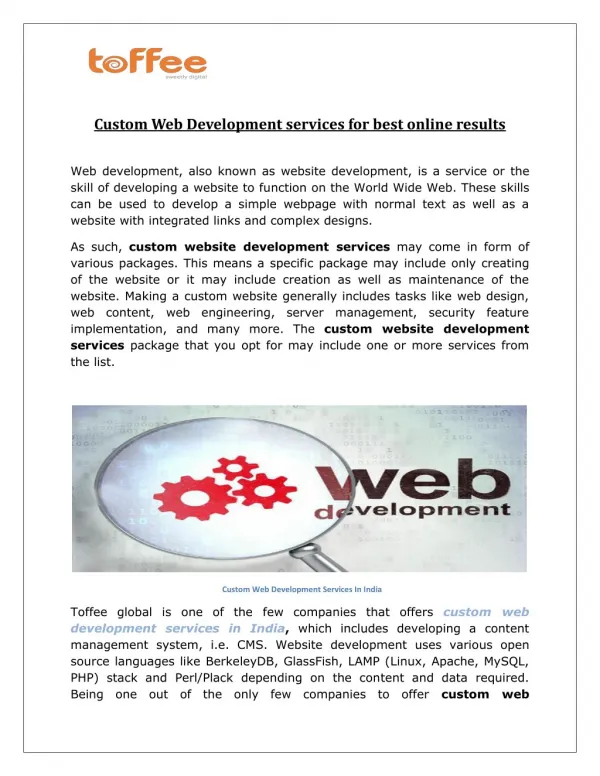 Custom Web Development services for best online results