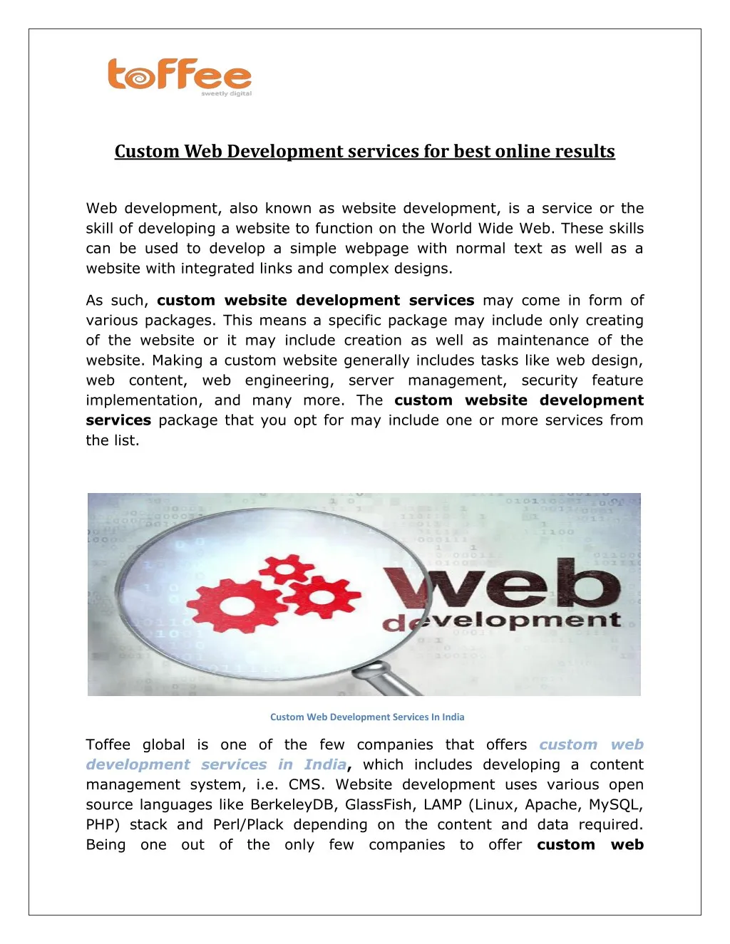 custom web development services for best online