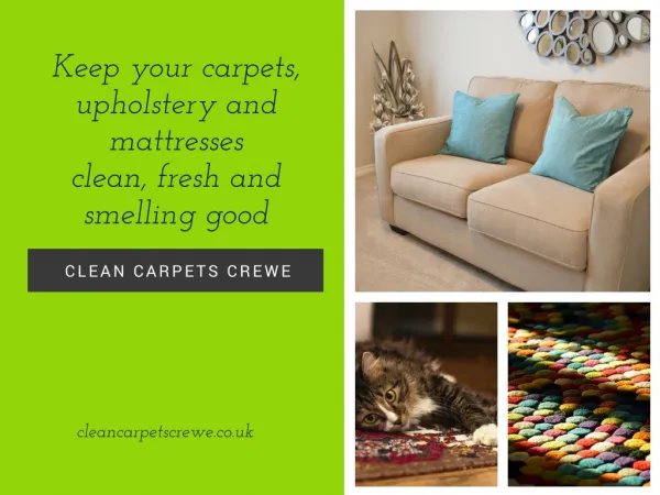 Clean Carpets Crewe