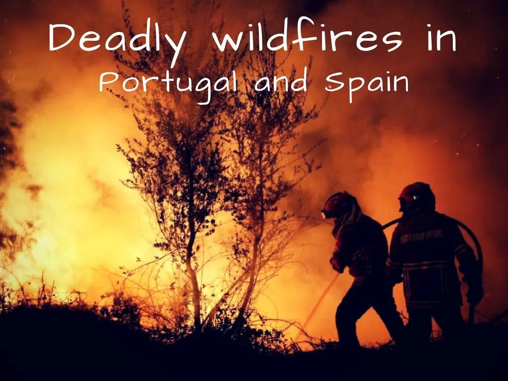 deadly wildfires in portugal and spain