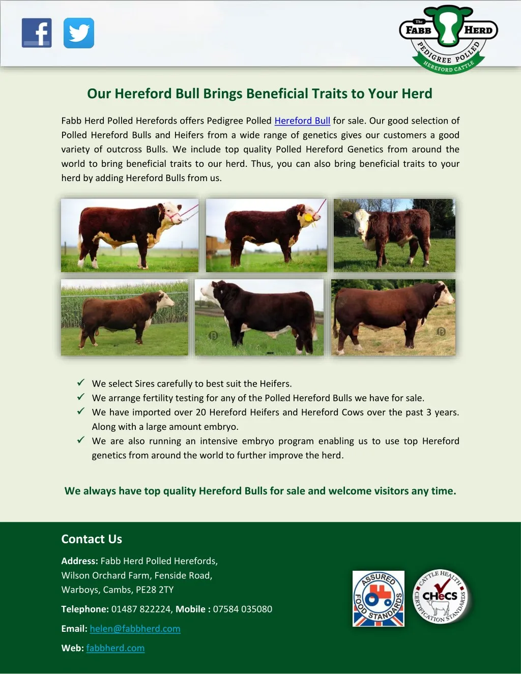 our hereford bull brings beneficial traits