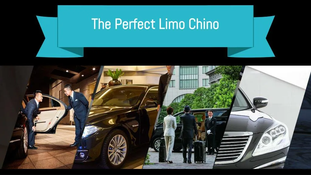the perfect limo chino
