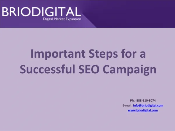 Important Steps for a Successful SEO Campaign