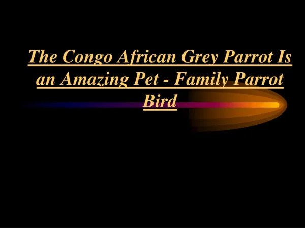 Family Parrot Bird - The African Grey Parrot Is An Amazing Pet