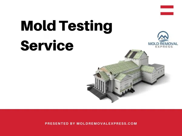 Mold testing service