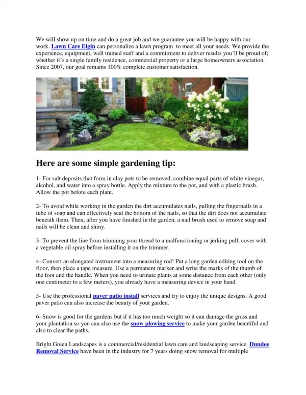 Some Simple Gardening Tips and Tricks